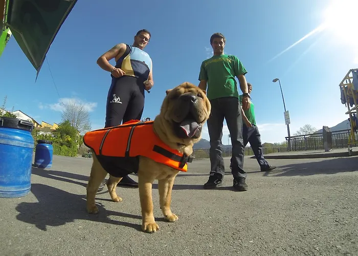 Hotel Conjunto Hotelero La Pasera